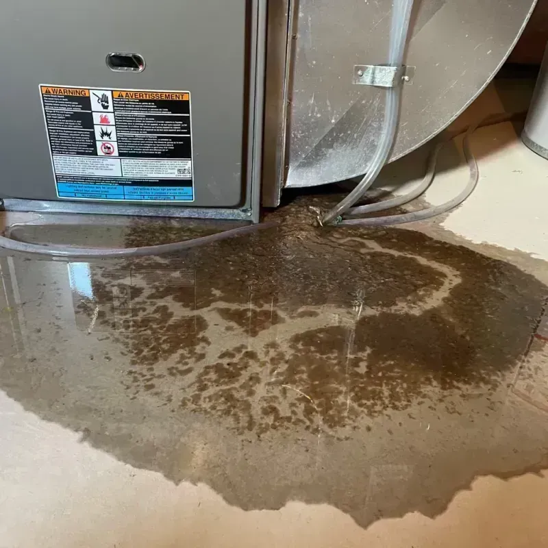 Appliance Leak Cleanup in Chaffee County, CO